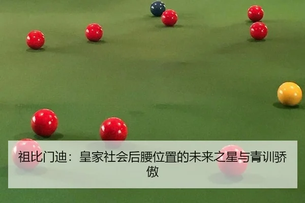 zu-bi-men-di-huang-jia-she-hui-hou-yao-wei-zhi-de-wei-lai-zhi-xing-yu-qing-xun-jiao-ao-3-768.jpg