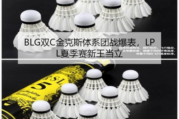 BLG双C金克斯体系团战爆表，LPL夏季赛新王当立