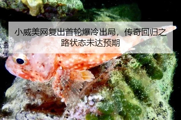 xiao-wei-mei-wang-fu-chu-shou-lun-bao-leng-chu-ju-chuan-qi-hui-gui-zhi-lu-zhuang-tai-wei-da-yu-qi-2-897.jpg