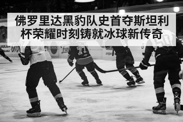 佛罗里达黑豹队史首夺斯坦利杯荣耀时刻铸就冰球新传奇