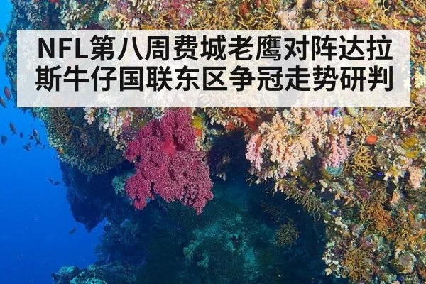 NFL第八周费城老鹰对阵达拉斯牛仔国联东区争冠走势研判